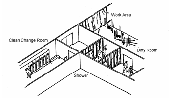 Asbestos Removal